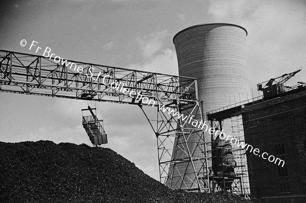 E.S.B. TURF PRODUCTION PLANT